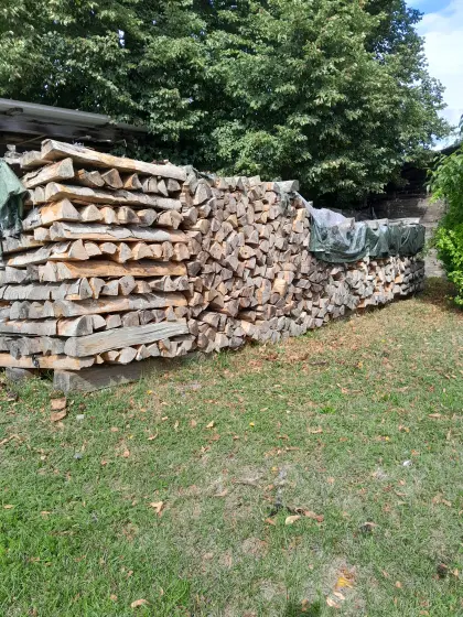 Brennholz Buche