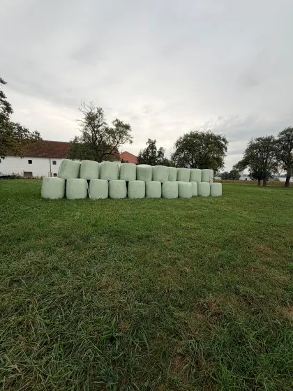 Bio Austria Maisballen