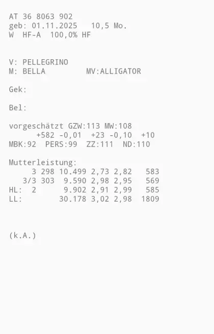Verkaufe Holstein-Jungkalbin