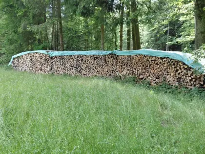 Brennholz