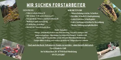 Wir suchen Forstarbeiter