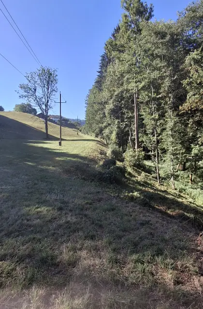 Mulcharbeiten, Mulchroboter, Mäharbeiten