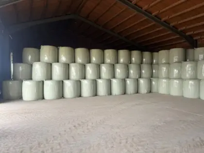 Verkaufe Silomaisballen, Maisballen