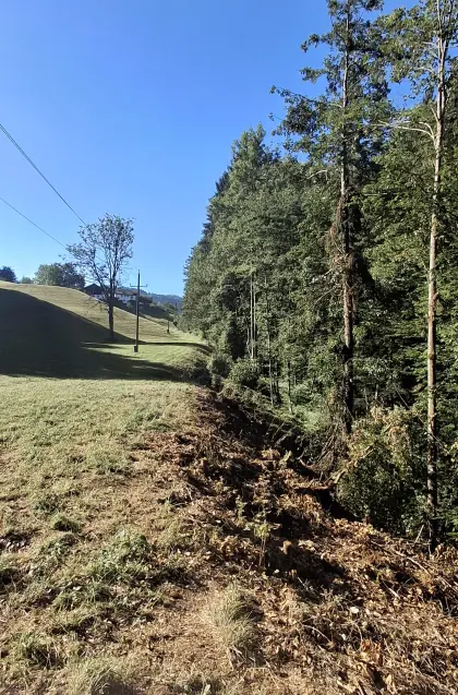 Mäharbeiten aller Art