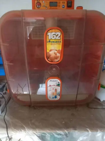 Covattuto 162