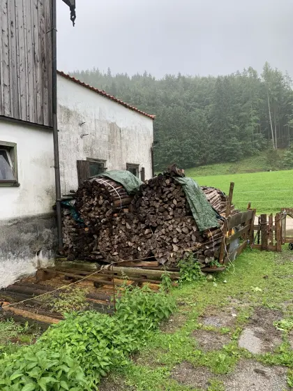 Trockenes Buchenholz zu verkaufen, Preis: € 110,-