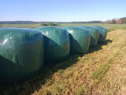 Siloballen 130 cm nur auf Vorbestellung