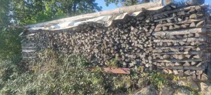Brennholz, Kaminholz, Hartholz