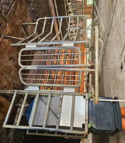 NEDAP Kraftfutterstation mit Brunsterkennung