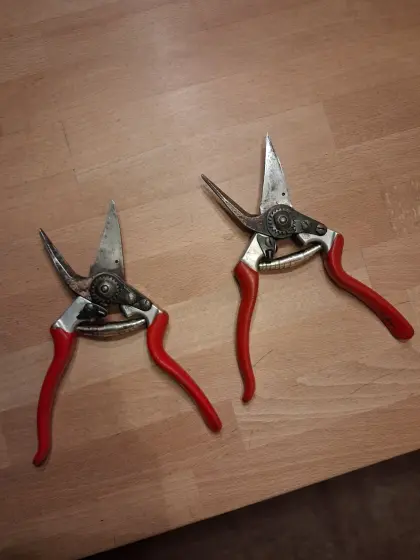 Klauenscheren Schafe Felco 51