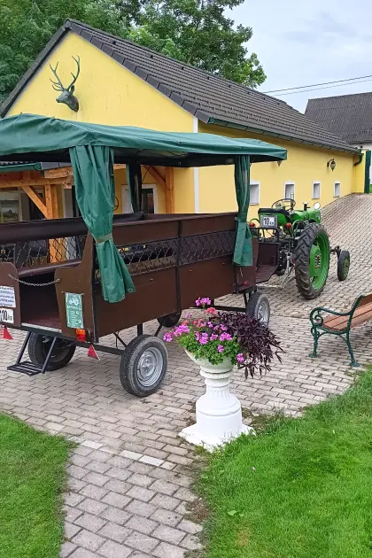 15 Steyr