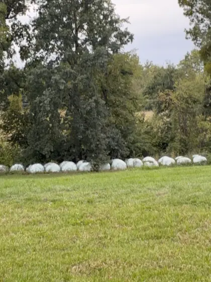 Siloballen