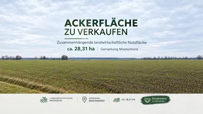 28,3 ha landwirtschaftliche Nutzfläche, Acker Miesterhorst