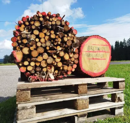 Brennholz