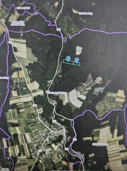 Wald in Stadtschlaining