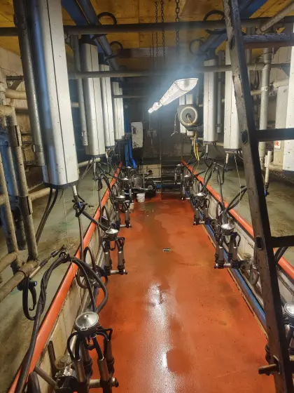 2 x 5 Melkstand DeLaval MP 400