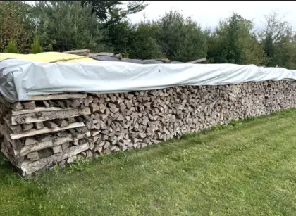 Holz