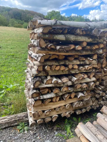 Brennholz Birke zu verkaufen