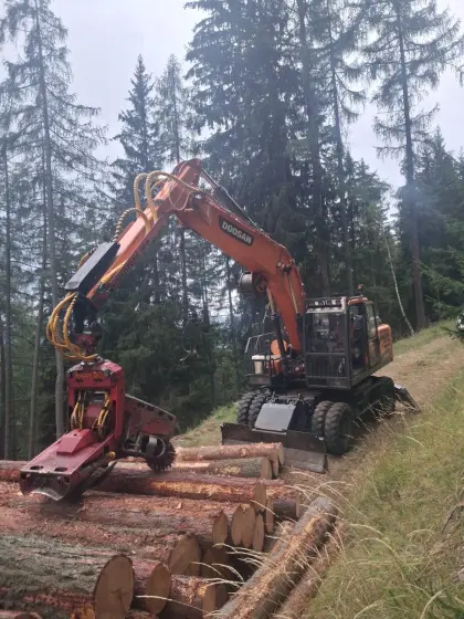 Doosan 210-5 mit Woody und Seilwinde, Doosan DX 210-5