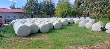 Maissilageballen 120 Stk.