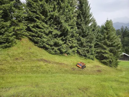 Mulchraupe