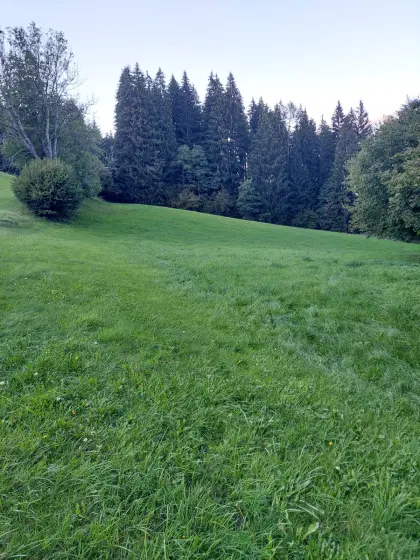 Wiese, Weide