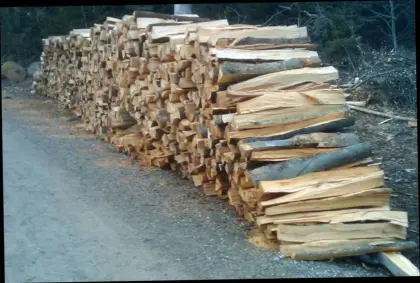 Brennholz Buche und Fichte gemischt