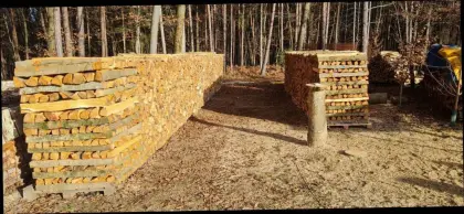 Buche Brennholz