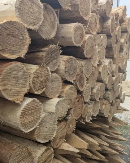 Akazienpfähle, Robinien Pfähle, Steher, Stempen