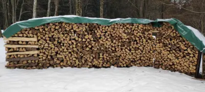 Brennholz Fichte