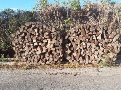 Brennholz zu verkaufen.