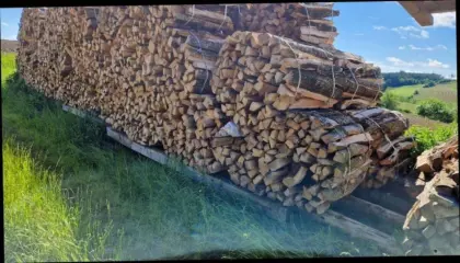 Brennholz, Hartholz, Ofenholz