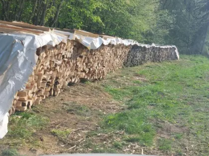 Brennholz