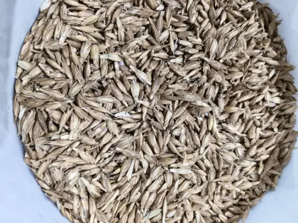 Bio-Dinkel, SLK, Bio-Austria, Waldviertel