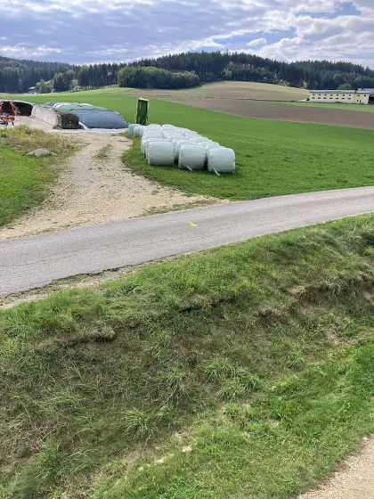 4. Schnitt Silage-Rundballen