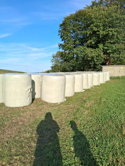 Maissilageballen