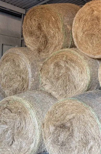 Heuballen, Pferdeheu