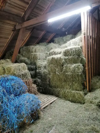 Heuballen, klein