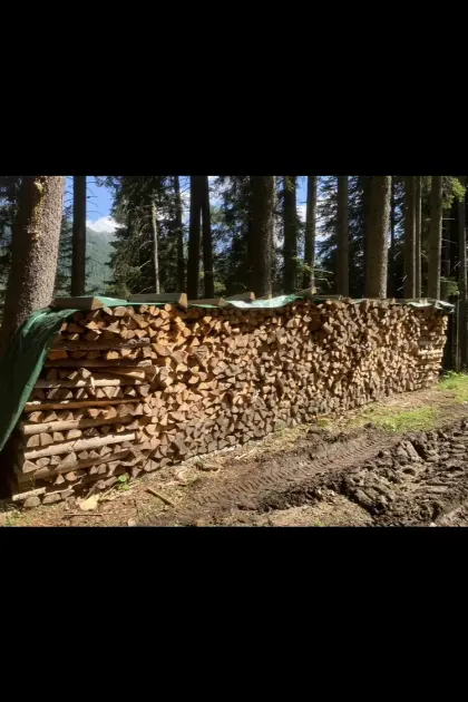 Brennholz zu verkaufen