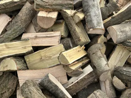 Brennholz hart