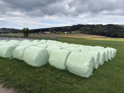 Siloballen