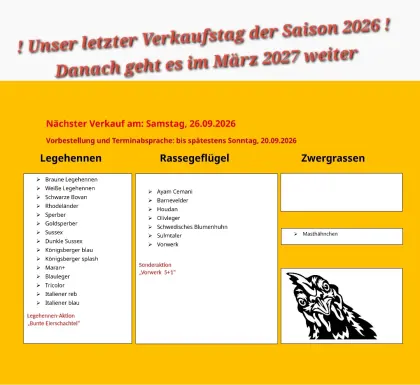 Hühner, Hennen, Legehennen-Aktion, Vorwerk-Aktion, 26.09.
