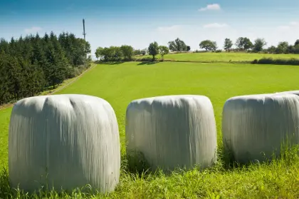Silageballen