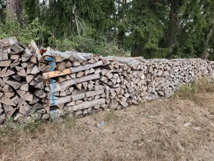 Buchen-Scheitholz