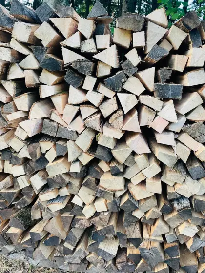 Brennholz Esche, halb trocken, € 100,-/m