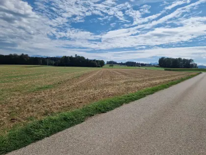 Ackerfläche (ca. 5,3 ha), Wald-Wiesenfläche (ca. 3.700 m²)