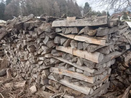 Buchenholz