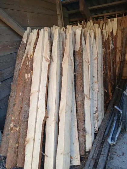 Zaunpfähle