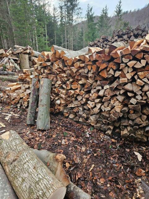 Brennholz