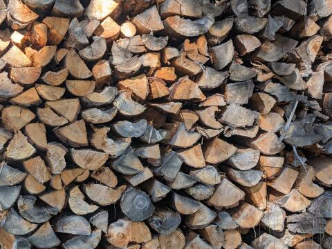 Brennholz Kiefer